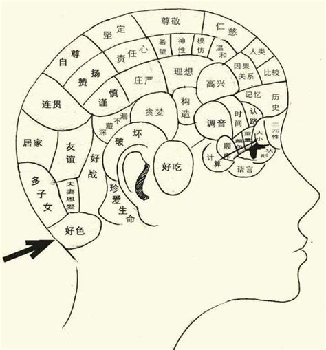 頭顱形狀|顱相學:簡述,源起,理論,影響,